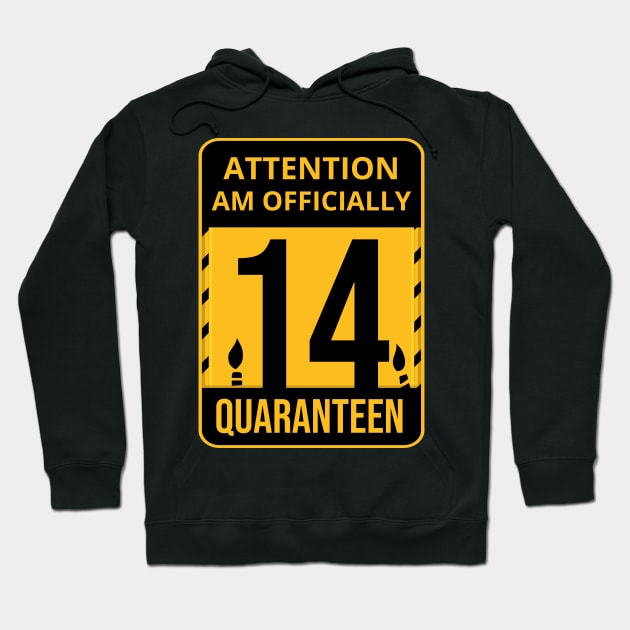 14th Birthday Officially a Quaranteen 14 Years Old Hoodie by heidiki.png